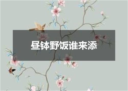 昼钵野饭谁来添