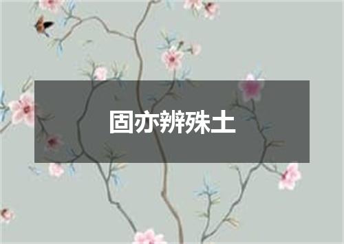 固亦辨殊土