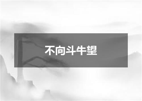 不向斗牛望