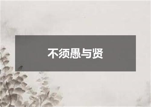 不须愚与贤