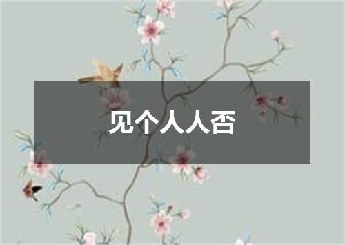 见个人人否