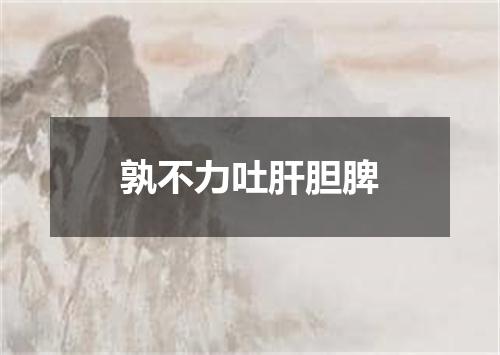 孰不力吐肝胆脾
