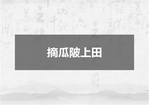 摘瓜陂上田
