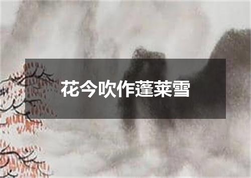 花今吹作蓬莱雪