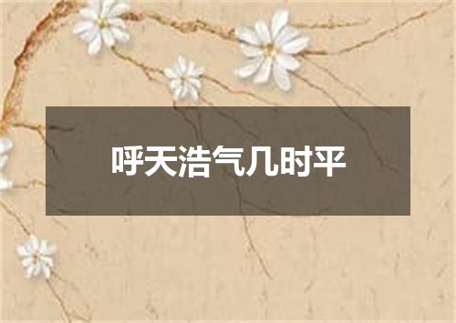呼天浩气几时平