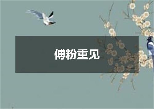 傅粉重见