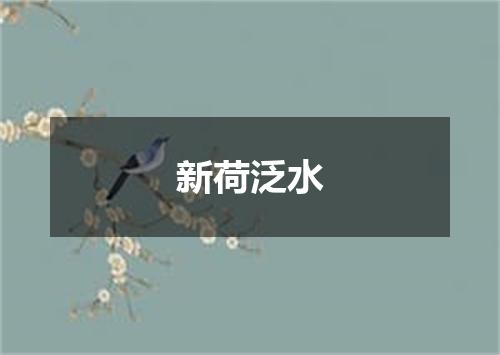 新荷泛水