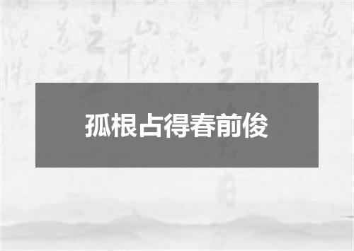 孤根占得春前俊