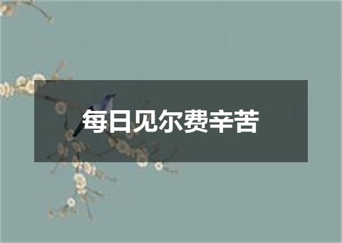 每日见尔费辛苦