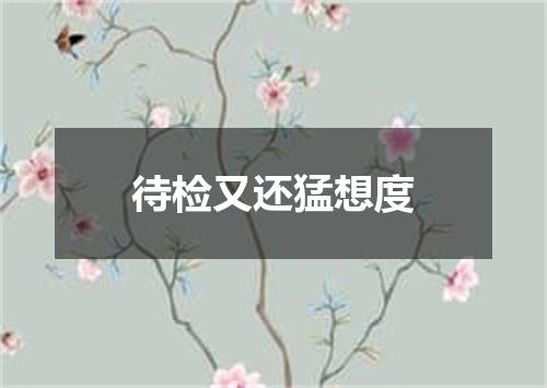 待检又还猛想度