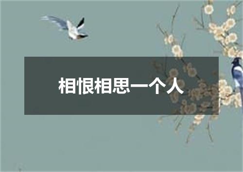 相恨相思一个人