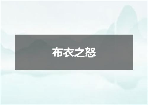 布衣之怒
