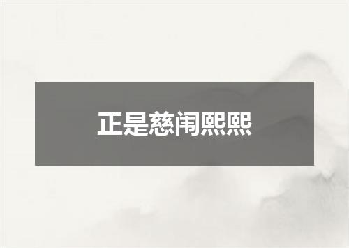 正是慈闱熙熙