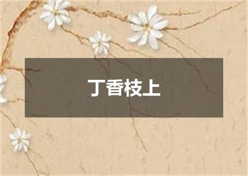 丁香枝上