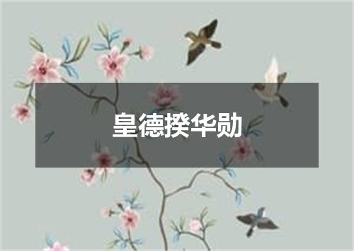 皇德揆华勋