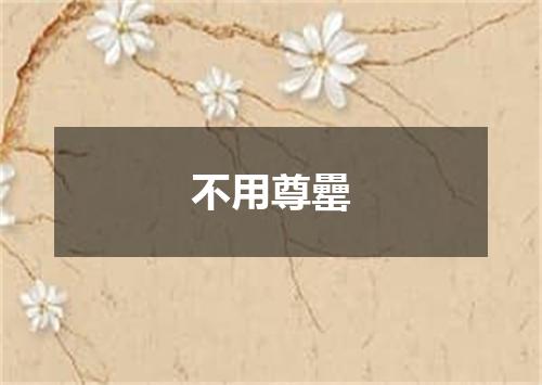 不用尊罍