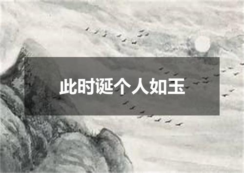 此时诞个人如玉