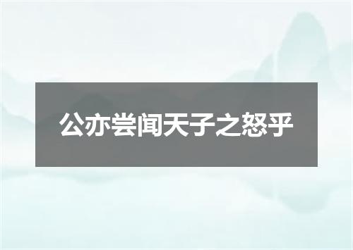 公亦尝闻天子之怒乎