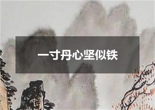 一寸丹心坚似铁