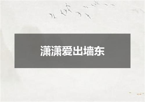 潇潇爱出墙东