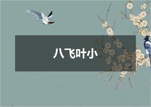 八飞叶小