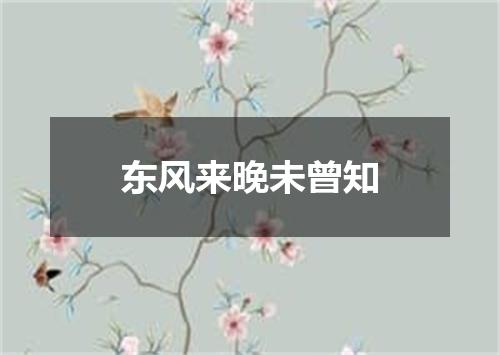 东风来晚未曾知