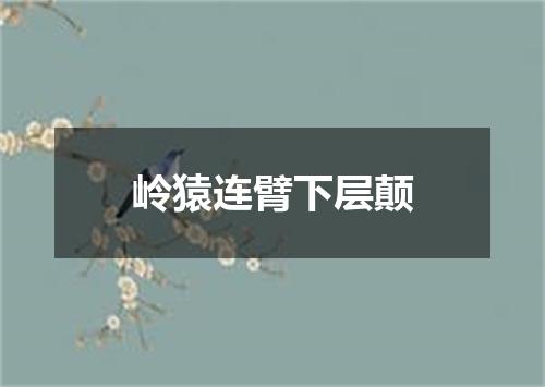 岭猿连臂下层颠