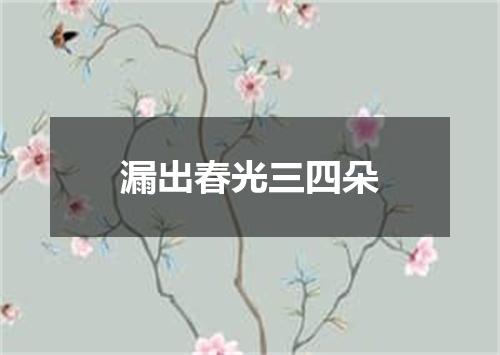 漏出春光三四朵