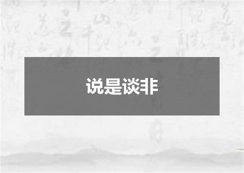 说是谈非