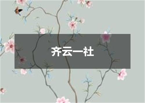 齐云一社
