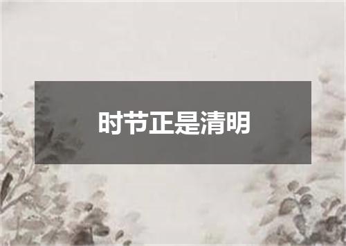 时节正是清明