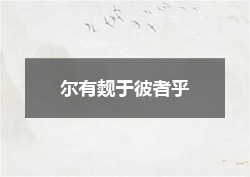 尔有觌于彼者乎