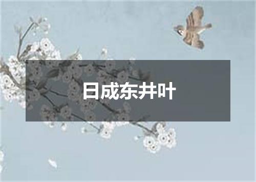 日成东井叶