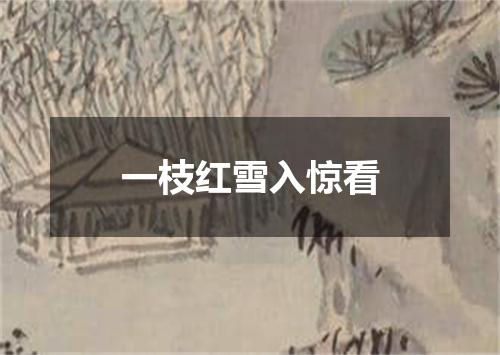 一枝红雪入惊看