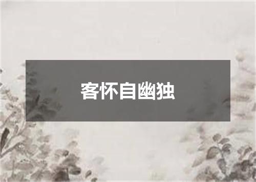 客怀自幽独