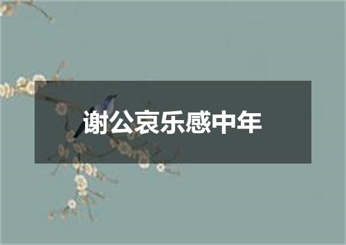 谢公哀乐感中年