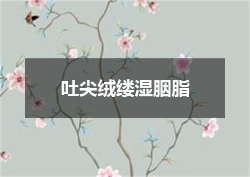 吐尖绒缕湿胭脂