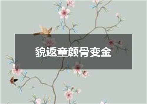 貌返童颜骨变金