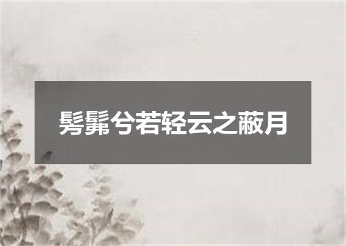 髣髴兮若轻云之蔽月