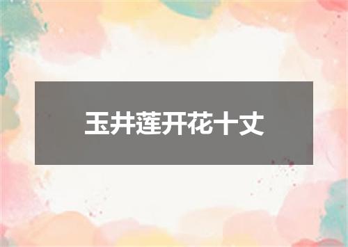 玉井莲开花十丈