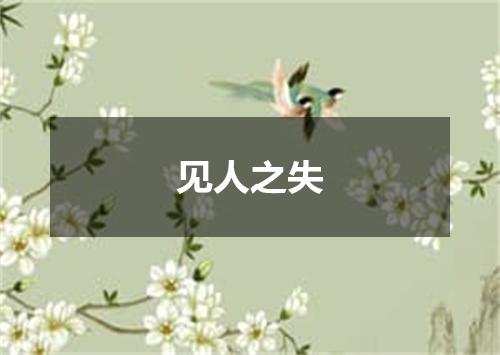 见人之失