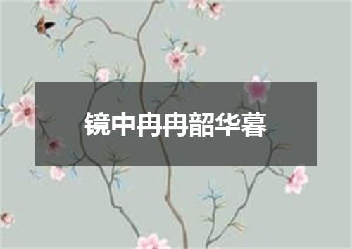 镜中冉冉韶华暮