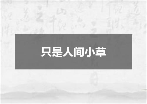 只是人间小草