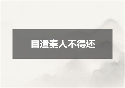 自遣秦人不得还