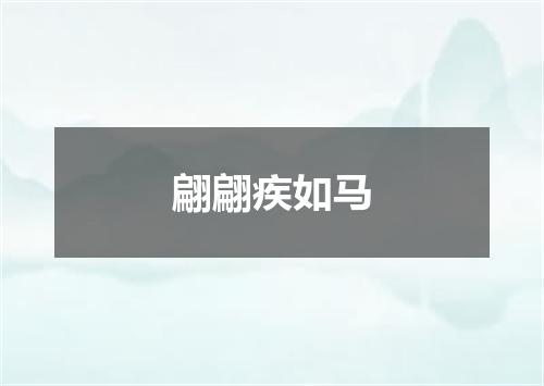 翩翩疾如马