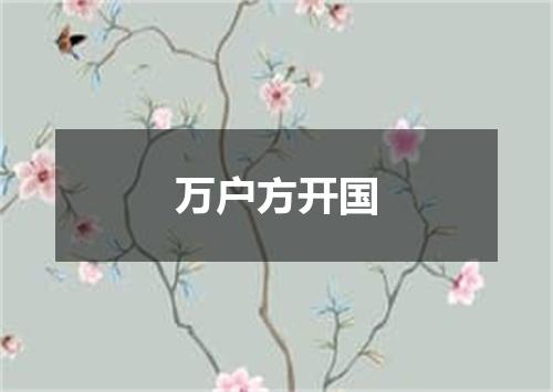 万户方开国