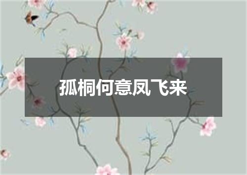 孤桐何意凤飞来