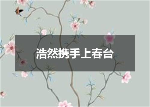 浩然携手上春台