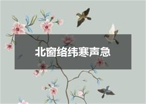 北窗络纬寒声急