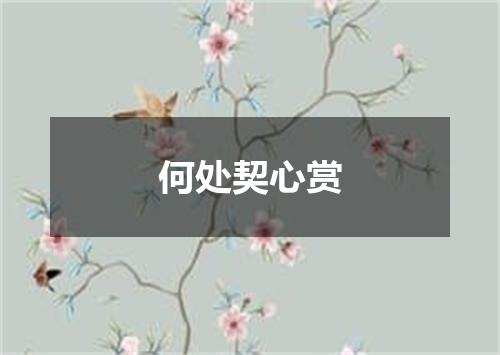 何处契心赏